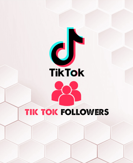 tik tok likes and followers